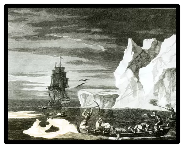 The Ice Islands on the 9th January 1773, engraved by B. T. Pouney, 31st Feb 1777