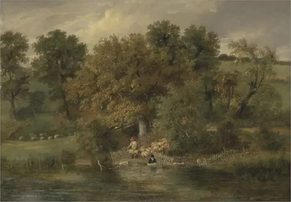 Sheep Washing at Postwick Grove, Norwich, c. 1822 (oil on panel)