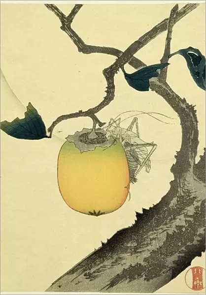 Moon, Persimmon and Grasshopper, 1807 (colour woodcut)