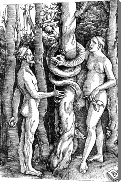 The Fall of Man, c. 1514 (woodcut)