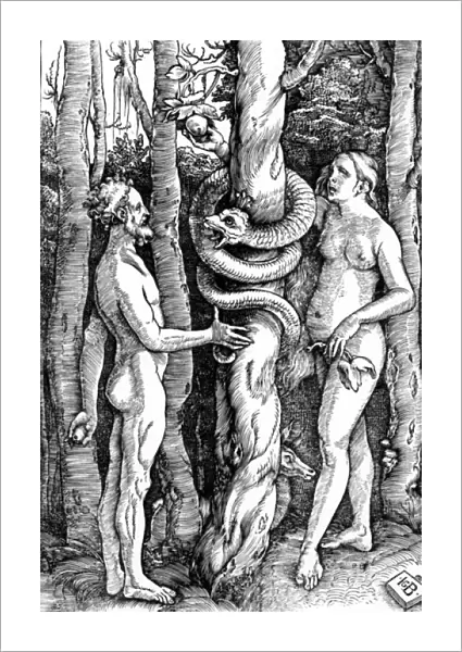 The Fall of Man, c. 1514 (woodcut)