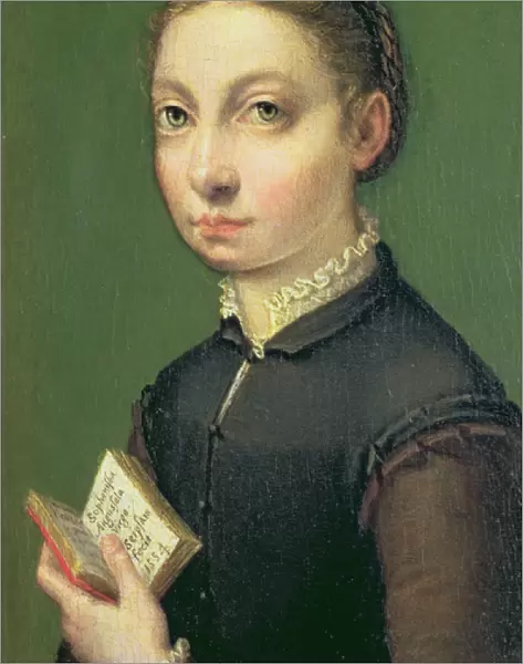 Self portrait, 1554 (panel)