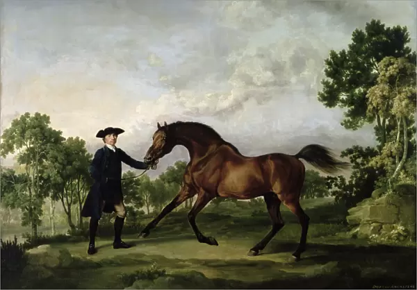 The Duke of Ancasters bay stallion Blank, held by a groom, c. 1762-5