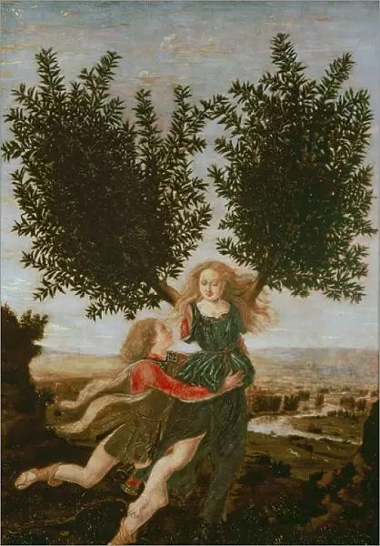 Daphne and Apollo, c. 1470-80 (oil on panel)