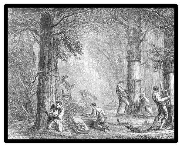 Bark (Gathering the Bark of the Cork Tree) engraved by Charles Laplante (d. 1903)