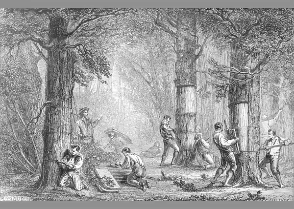Bark (Gathering the Bark of the Cork Tree) engraved by Charles Laplante (d. 1903)