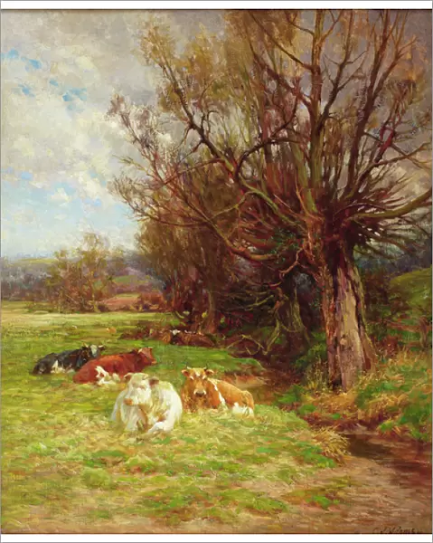 Cattle grazing (oil on canvas)