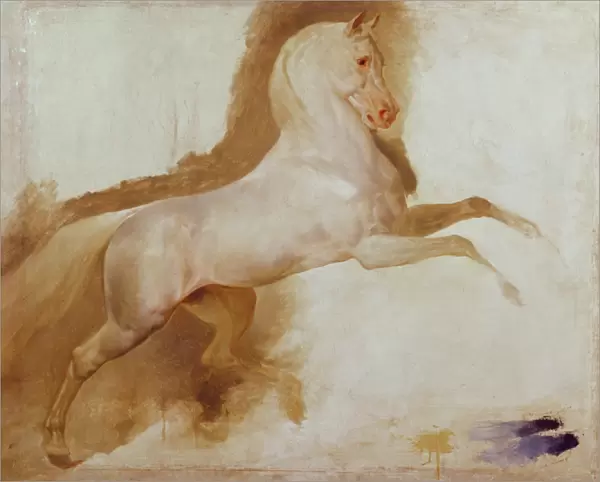 Horse of Joachim Murat, c. 1832 (oil on canvas)