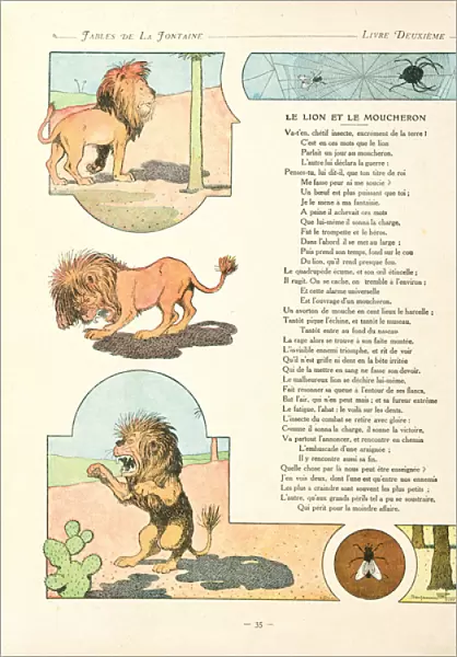 The lion and the gnat, illustration from Fables by Jean de la Fontaine