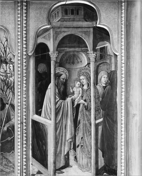 Cycle of the Life of the Virgin, Presentation of Jesus at the Temple, c. 1445 (oil on poplar panel)