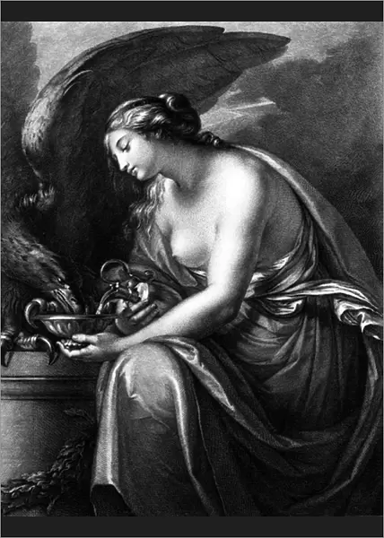 Hebe, engraved by Domenico Cunego (engraving)