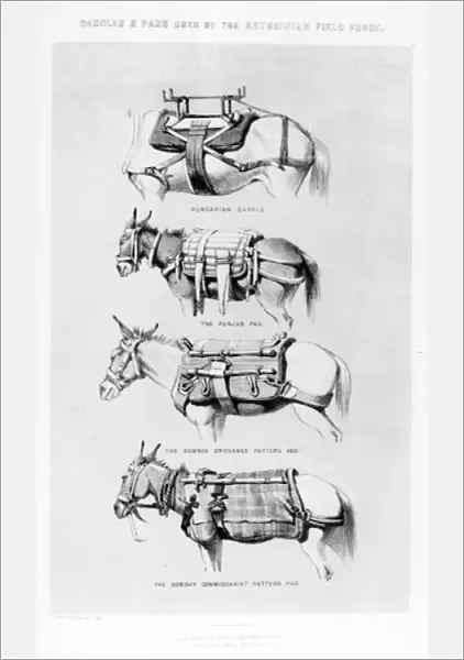 Saddles and Pads Used by the Abyssinian Field Force (litho)