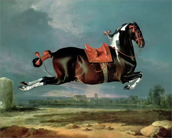 The piebald horse Cehero rearing