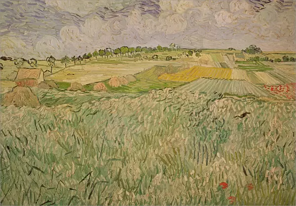 The Plain at Auvers, 1890 (oil on canvas)