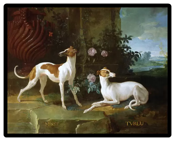 Misse and Turlu, two greyhounds of Louis XV (oil on canvas)