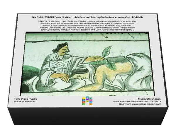 Ms Palat. 218-220 Book IX Aztec midwife administering herbs to a woman after childbirth