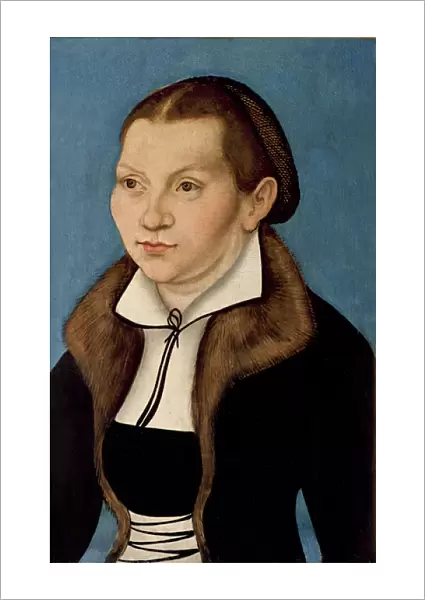 Portrait of Katherine von Bora (1499-1552) 1529 (oil on panel)