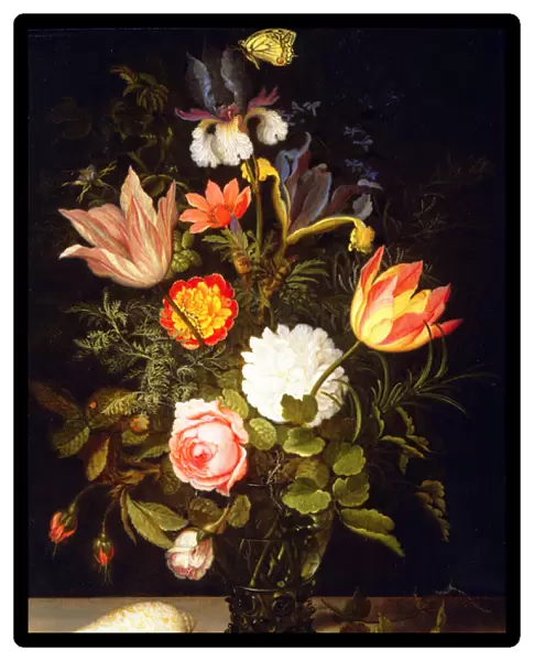 Still Life of Flowers in a Roemer with Two Shells (oil on panel)