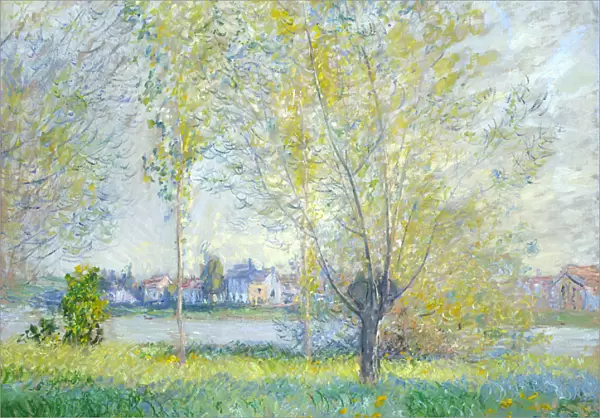 Willows at Vetheuil, 1880 (oil on canvas)