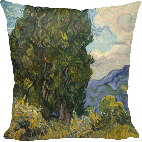 Cypresses, 1889 (oil on canvas)
