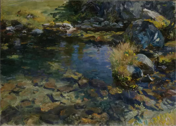 Alpine Pool, 1907 (oil on canvas)