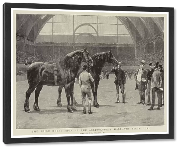 The Shire Horse Show at the Agricultural Hall, the Final Duel (engraving)