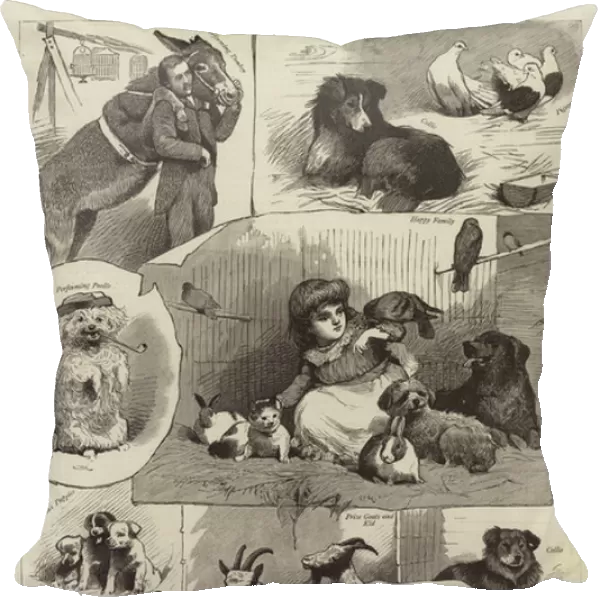The 'Band of Kindness'Donkey and Pet Show at Manchester (engraving)