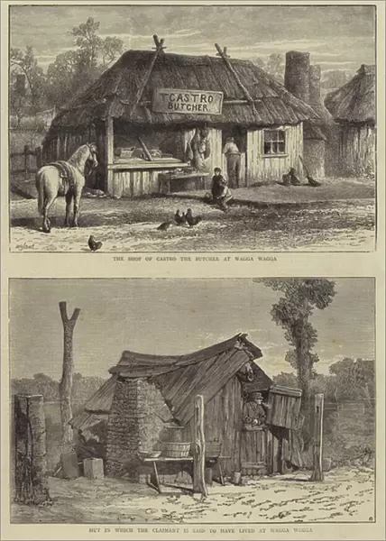 Sketches from Australia in Relation to the Tichborne Case (engraving)