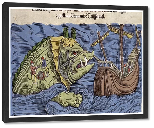 Sea Monster and Ship, illustration from Historiae Animalium bu Conrad Gesner
