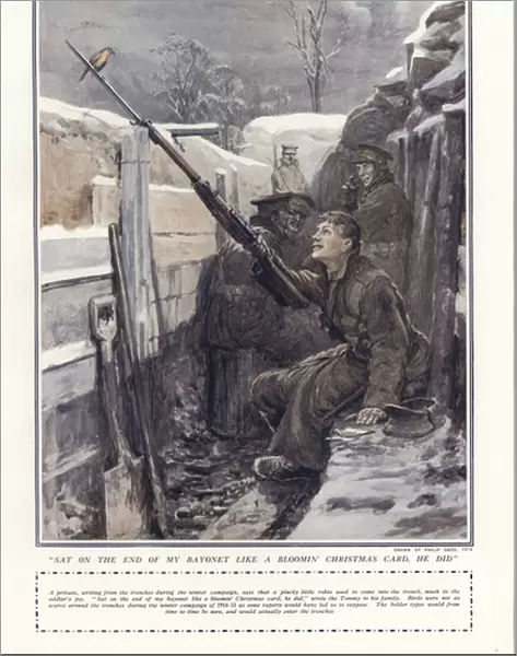 'Sat on the end of my bayonet like a bloomin Christmas card, he did'(colour litho)