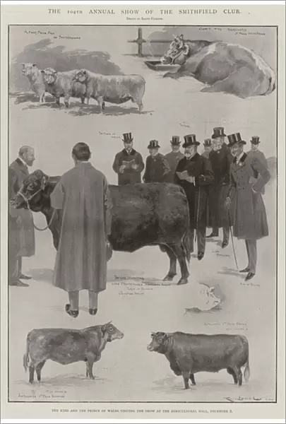 The 104th Annual Show of the Smithfield Club (engraving)