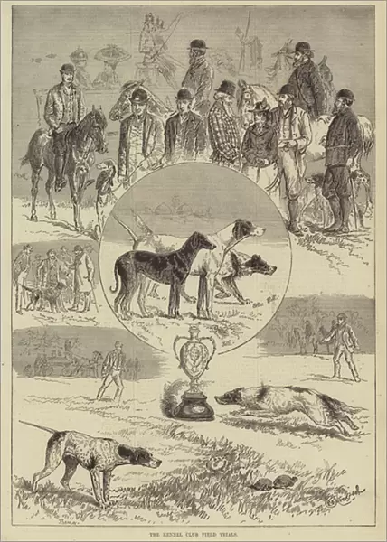 The Kennel Club Field Trials (engraving)