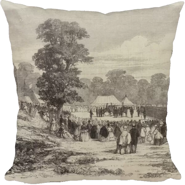 Review of Warwickshire Volunteers in Stoneleigh Park (engraving)
