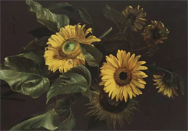 Sunflowers, 1839 (oil on canvas)