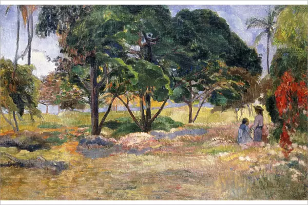 Landscape with Three Trees, 1892 (oil on canvas)