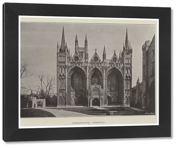 Peterborough Cathedral (b  /  w photo)