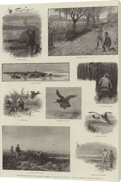 Illustrations from 'The Badminton Library of Sports and Pastimes', 'Moor and Marsh, 'Field and Covert'(engraving)