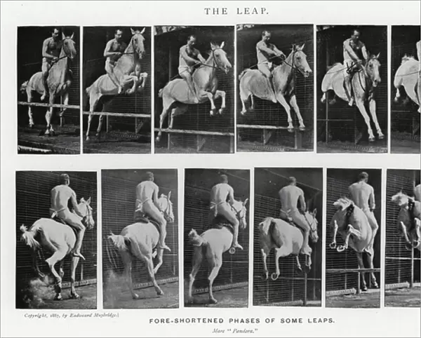 Eadweard Muybridge: The Leap (b  /  w photo)