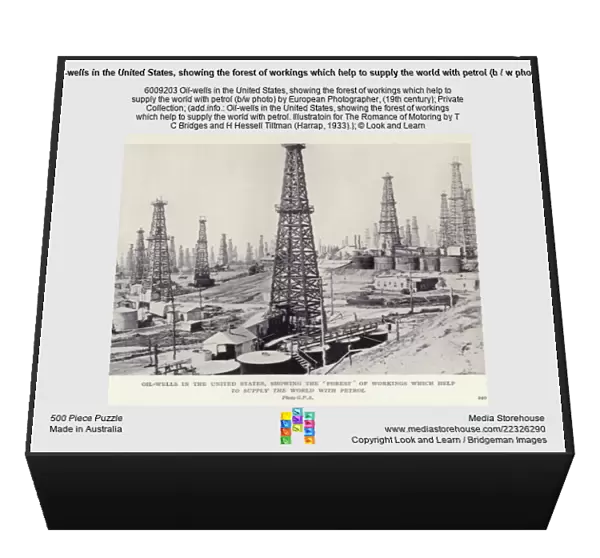 Oil-wells in the United States, showing the forest of workings which help to supply the world with petrol (b  /  w photo)