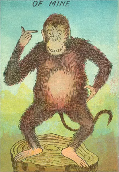Monkey referring to man and evolution (colour litho)