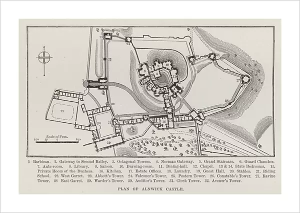 Plan of Alnwick Castle (litho)