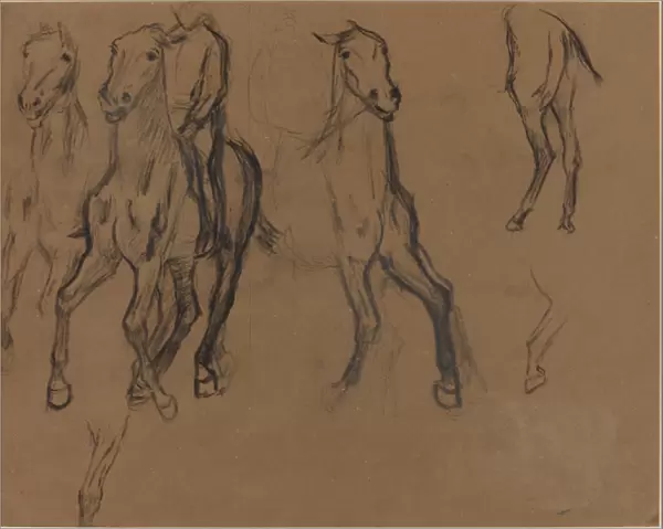 Study of Horses, c. 1886 (charcoal and graphite on brown paper)