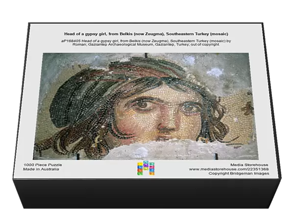 Head of a gypsy girl, from Belkis (now Zeugma), Southeastern Turkey (mosaic)