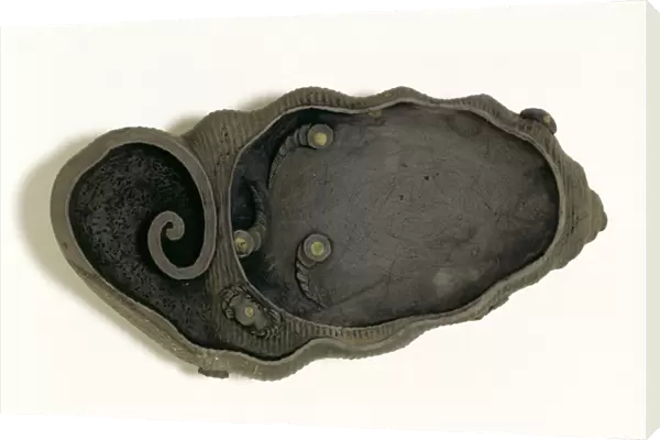 Tuan inkstone in the form of a conch shell, Ch ing dynasty