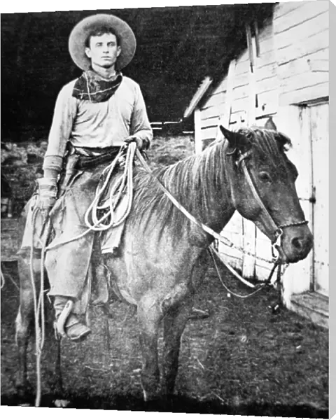 American cowboy in Kansas, c. 1880 (b  /  w photo)