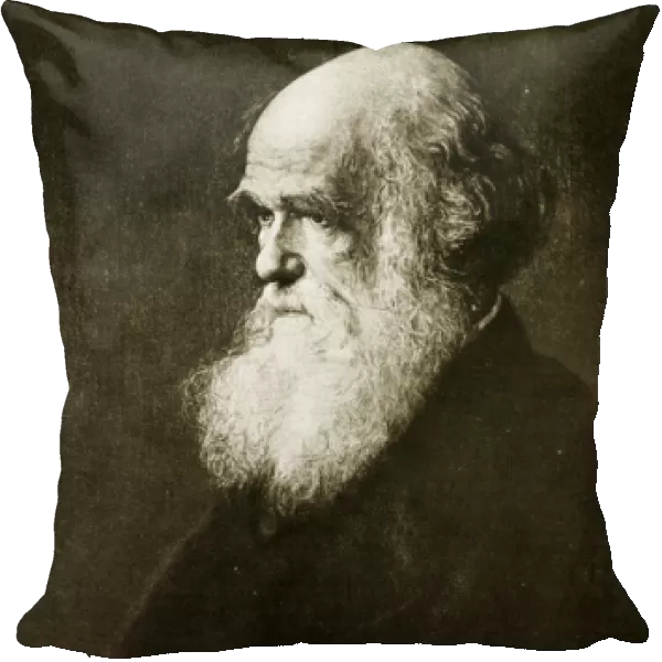 Charles Darwin, print after the painting by W. W. Ouless