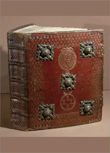 The Livre Ferre of the Cour des Comptes (leather & vellum)