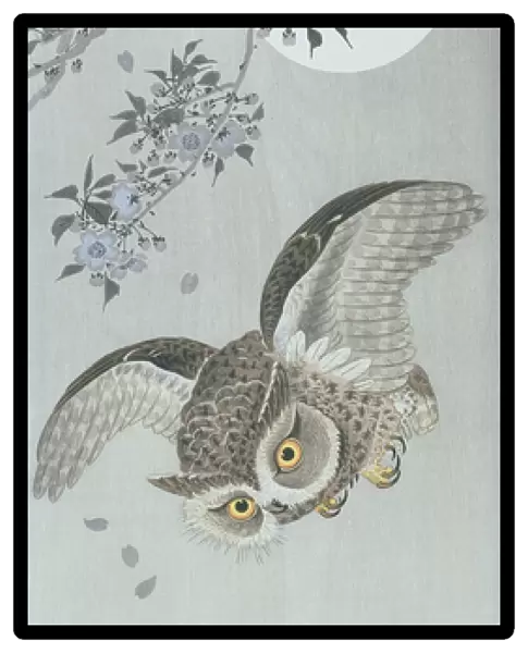 Scoop owl in flight with blossom and full moon (colour woodblock print)