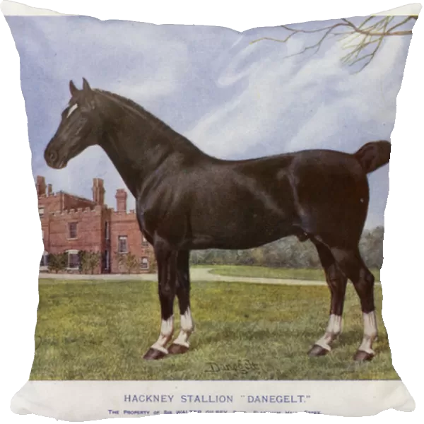 Hackney Stallion 'Danegelt'(colour litho)