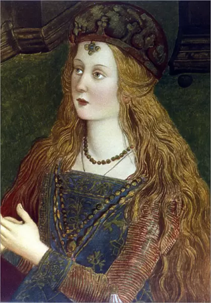 Portrait of Lucretia Borgia (oil on canvas)